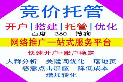 百度竞价运营策略：成功案例解析